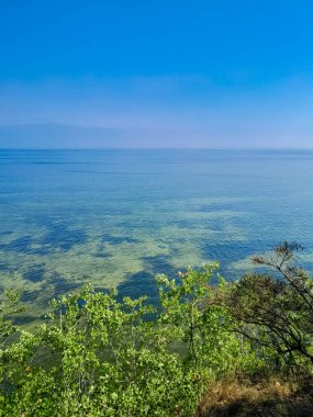 Seascape of Baltic Sea crystal water, seaweed and sea bottom. Copy space over horizon.