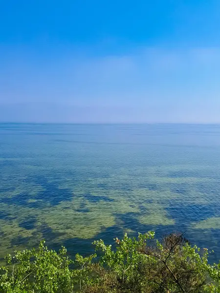 Seascape of Baltic Sea crystal water, seaweed and sea bottom. Copy space over horizon.