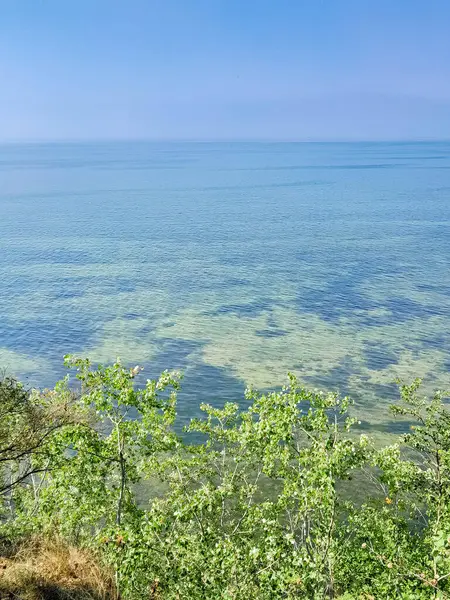 Seascape of Baltic Sea crystal water, seaweed and sea bottom. Copy space over horizon.