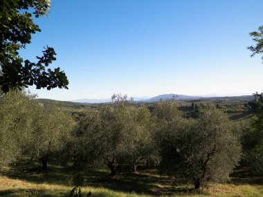 Tepeler, tarlalar ve çayırlar - tipik Toskana manzarası, İtalya. Seyahat, doğa ve tarım kavramı. Güneşli bir sonbahar günü, İtalya 'da tatiller. Boşluğu kopyala.