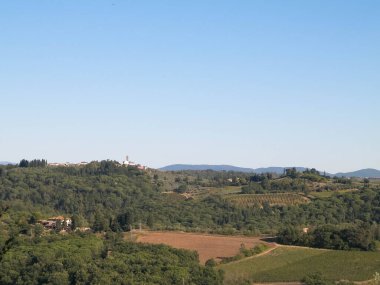 Tepeler, çayırlar, üzüm bağları, güneşli bir günde Toskana köyü manzarası. Doğa ve tarım kavramı. İtalya 'da tatiller. Boşluğu kopyala.