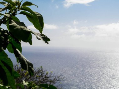Sao Miguel 'in egzotik adası Azores' ten Atlantik deniz ufku. Boşluğu kopyala.