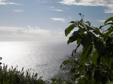 Sao Miguel 'in egzotik adası Azores' ten Atlantik deniz ufku. Boşluğu kopyala.