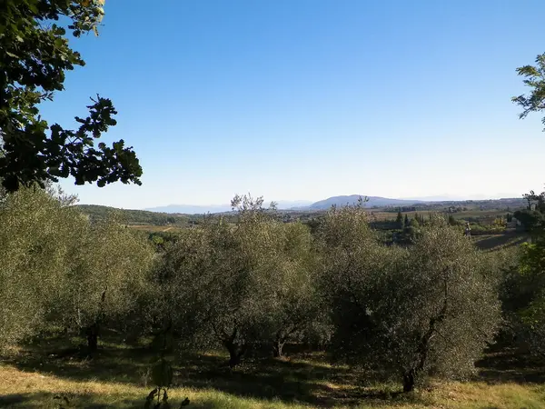 Tepeler, tarlalar ve çayırlar - tipik Toskana manzarası, İtalya. Seyahat, doğa ve tarım kavramı. Güneşli bir sonbahar günü, İtalya 'da tatiller. Boşluğu kopyala.