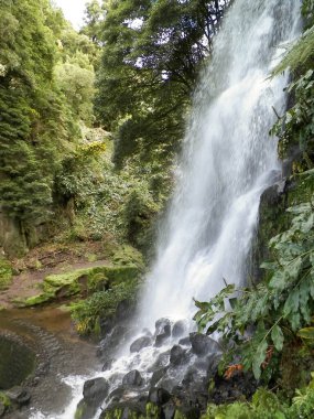 Azores 'de inanılmaz bir şelale. Sao Miguel Adası. Doğanın güzelliği.