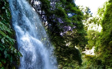 Azores 'de inanılmaz bir şelale. Sao Miguel Adası. Doğanın güzelliği.
