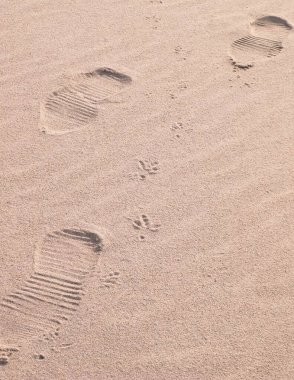 Sahilde ya da çölde yürüyen gezginler. Doğal arkaplan.