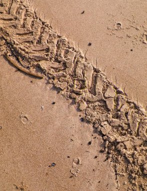 Çölün veya kumsalın üzerindeki lastik izleri. Doğal arka plan. Offroad ve seyahat kavramı.