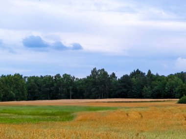 Kashubia 'da hava bulutlu. Gelen yağmur.