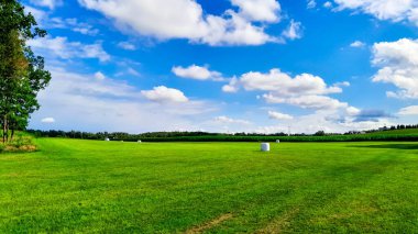 Tarladaki saman demetleri. Kashubia 'da tarım Kuzey Polonya' da.