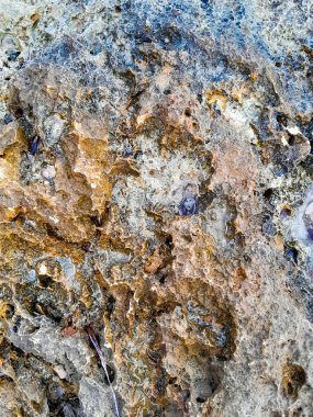 Doğal bir arka plan olarak kıyı kayaları ve deniz suyu. Boşluğu kopyala.