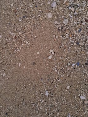 Zemin doğal arka plan. Boşluğu kopyala.