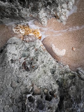 Doğal bir arka plan olarak kıyı kayaları ve deniz suyu. Boşluğu kopyala.