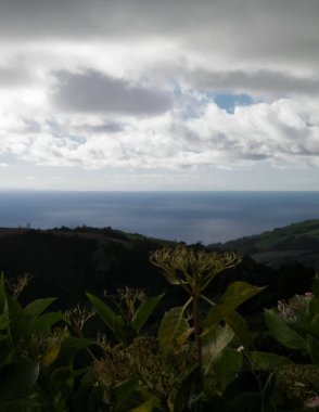 Tipik Azores manzarası. Arka planda doğal yeşil arazi tepeleri ve deniz. Doğanın güzelliği konsepti.