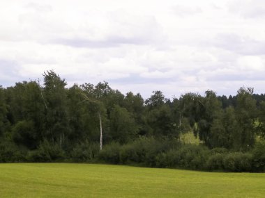 Tarlalar, tepeler ve çayırlar. Polonya 'daki Kazhubia' nın tipik labirentleri. Doğanın güzelliği.