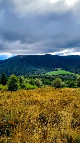 Bieszczady dağlarının güzel manzarası. Karpatlar. Doğanın güzelliği.