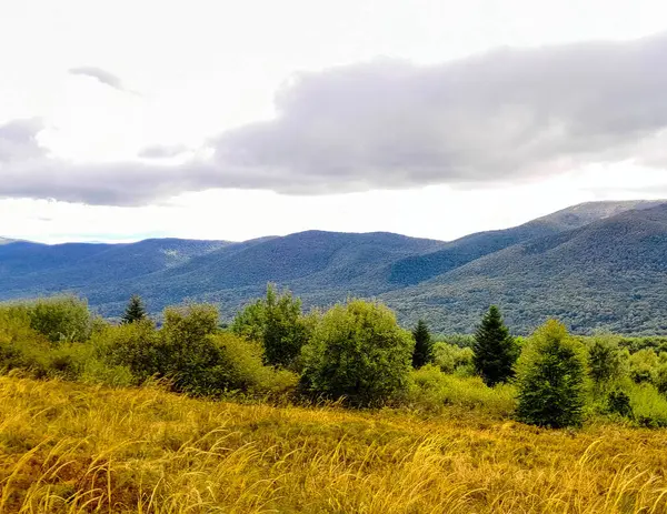 Bieszczady dağlarının güzel manzarası. Karpatlar. Doğanın güzelliği.