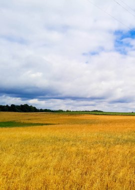 Kashubia 'daki çayır üzerinde kara bulutlar. Yağmurlu hava geliyor. Kuzey Polonya 'nın güzel doğası.