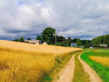 Kashubia 'daki çayır üzerinde kara bulutlar. Yağmurlu hava geliyor. Kuzey Polonya 'nın güzel doğası.