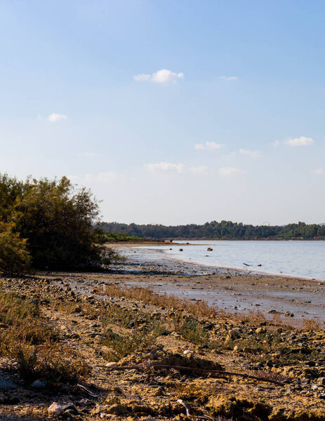 Берег соленого озера Ларнака. Кипр. Природа Кипра.