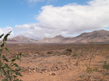 Lanzarote Adası 'nda çöl. Kanarya takımadalarının saf doğası.