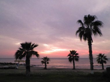 Akdeniz üzerinde gün batımı ya da gün doğumu. Avuçlar ve egzotik doğa.