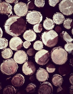 Ahşap kirişler doğal arka plan olarak kullanılıyor. Orman temizliği - Çevre koruma ve tarım kavramı.