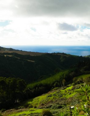 Tipik Azores manzarası. Arka planda doğal yeşil arazi tepeleri ve deniz. Doğanın güzelliği konsepti.
