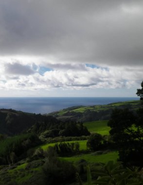 Tipik Azores manzarası. Arka planda doğal yeşil arazi tepeleri ve deniz. Doğanın güzelliği konsepti.