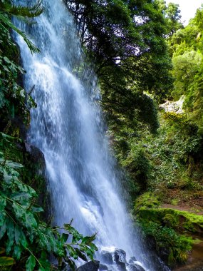 Azores 'de inanılmaz bir şelale. Sao Miguel Adası. Doğanın güzelliği.