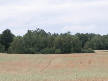 Kashubia 'da hava bulutlu. Gelen yağmur.