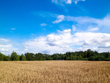 Kashubia 'da hava bulutlu. Gelen yağmur.