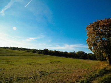 Yaz sonu - sonbahar ağaçları ve tarlalar. Polonya doğası. Mavi gökyüzündeki boşluğu kopyala. Mechelinki, Polonya.