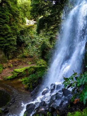 Azores 'de inanılmaz bir şelale. Sao Miguel Adası. Doğanın güzelliği.