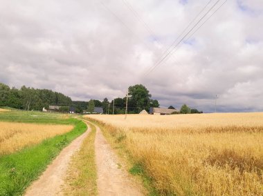 Kashubia 'da kara bulutlar var. Fırtına yaklaşıyor. Kuzey Polonya 'nın şaşırtıcı doğası.