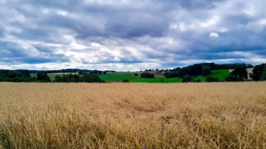 Kashubia 'da kara bulutlar var. Fırtına yaklaşıyor. Kuzey Polonya 'nın şaşırtıcı doğası.