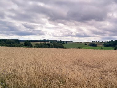 Kashubia 'da kara bulutlar var. Fırtına yaklaşıyor. Kuzey Polonya 'nın şaşırtıcı doğası.