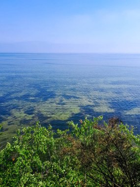 Seascape of Baltic Sea crystal water, seaweed and sea bottom. Copy space over horizon.