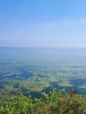 Seascape of Baltic Sea crystal water, seaweed and sea bottom. Copy space over horizon.