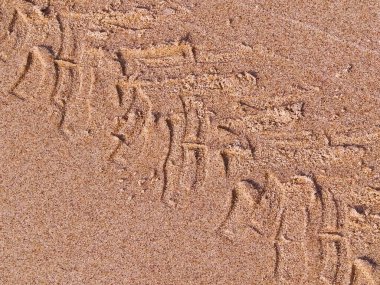 Çölün veya kumsalın üzerindeki lastik izleri. Doğal arka plan. Offroad ve seyahat kavramı.