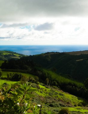 Tipik Azores manzarası. Arka planda doğal yeşil arazi tepeleri ve deniz. Doğanın güzelliği konsepti.