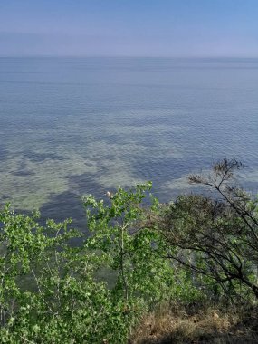 Polonya 'daki Pucka Körfezi' nin temiz su manzarası çok güzel. Pucka Körfezi 'nin doğal koşulları biliniyor. Temiz su ve güzel manzaralar..