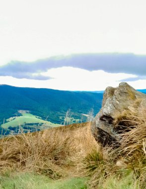 Dağın tepesinden Karpatların güzel manzarası. Doğanın güzelliği.