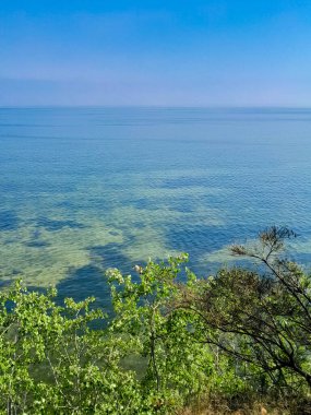 Seascape of Baltic Sea crystal water, seaweed and sea bottom. Copy space over horizon.