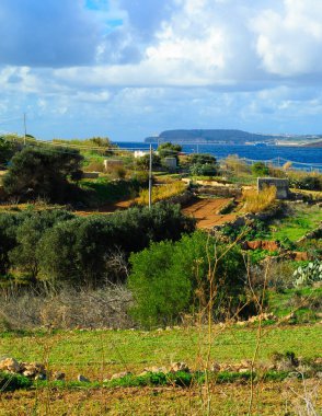 Malta 'da kırsal alan. Marfa Yarımadası 'ndaki sahil bölgesi..