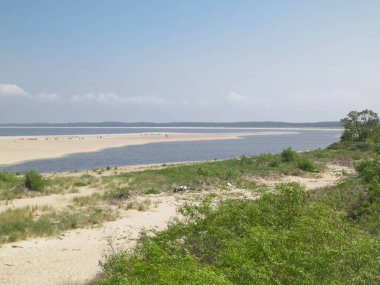 Sobieszewska Adası 'ndaki Baltık Denizi Kıyısı. Vistula Nehri 'nin kıyısında. Kuzey Polonya 'nın doğası.