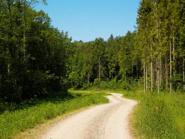 Kashubia 'da ormanın üzerindeki yol. Polonya. Kuzey Polonya 'nın güzel doğası.