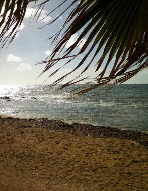 Paphos City yakınlarındaki tropik plaj, Kıbrıs adası. Boşluğu mavi gökyüzünde kopyala - bir kartpostal için iyi bir arkaplan.
