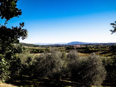 Tepeler, tarlalar ve çayırlar - tipik Toskana manzarası, İtalya. Seyahat, doğa ve tarım kavramı. Güneşli bir sonbahar günü, İtalya 'da tatiller. Boşluğu kopyala.
