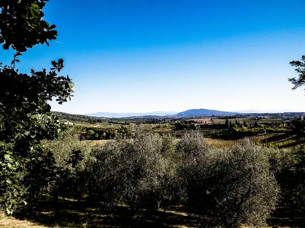 Tepeler, tarlalar ve çayırlar - tipik Toskana manzarası, İtalya. Seyahat, doğa ve tarım kavramı. Güneşli bir sonbahar günü, İtalya 'da tatiller. Boşluğu kopyala.